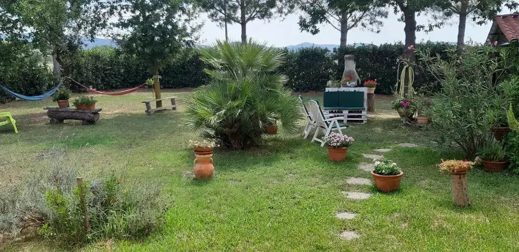 Verdestella