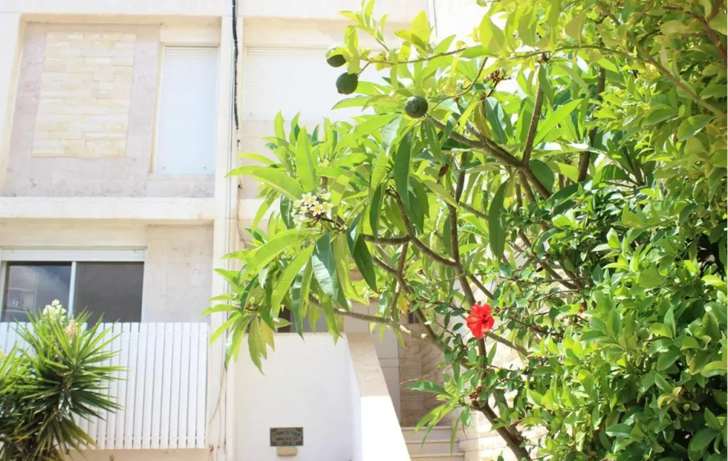 Duplex On The Beach Ashdod