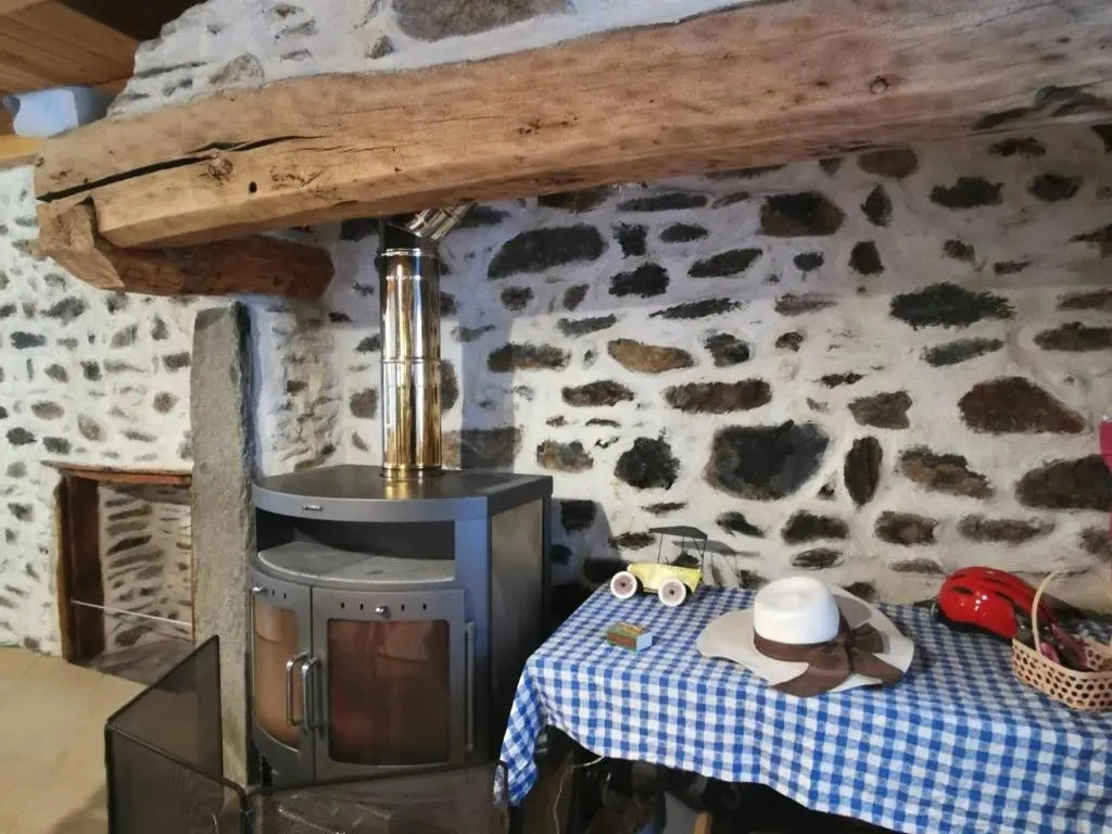 Charmante maison dans les gorges de la Loire avec terrasses et poêle à bois - FR-1-582-319