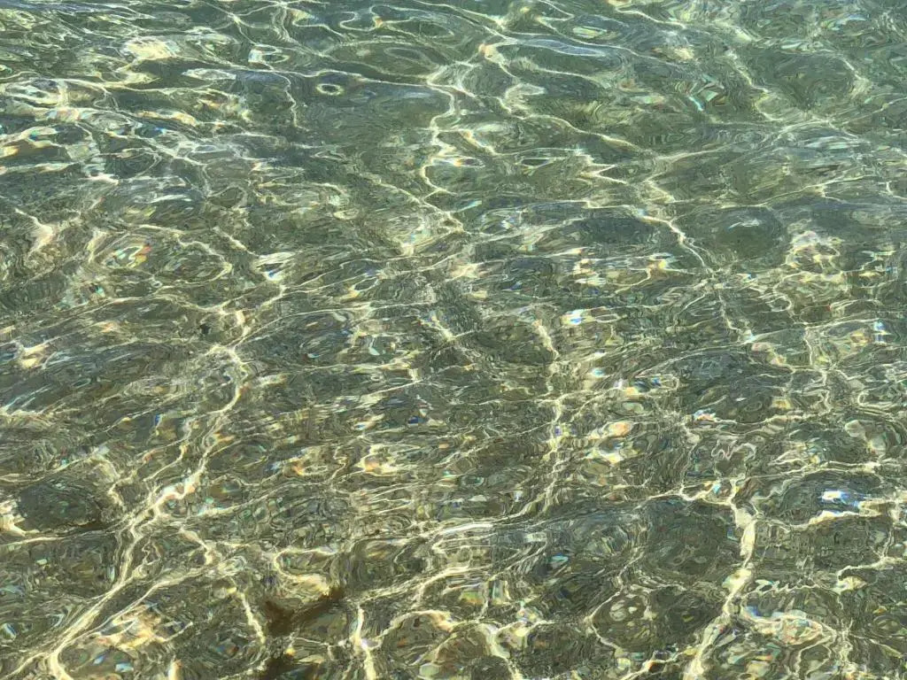 Complexe Al AMINE plage -rifiyine