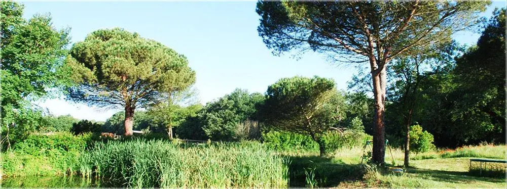 Le Petit Chateau Argoumbat