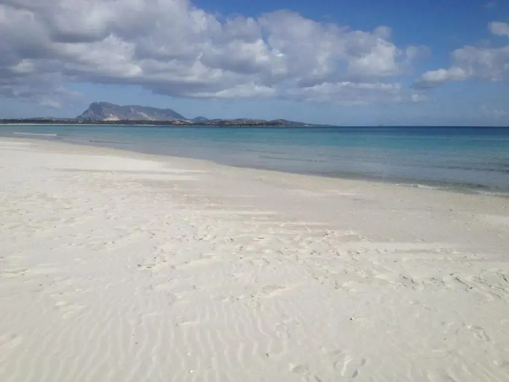 Appartamento Iris 300 mt spiaggia