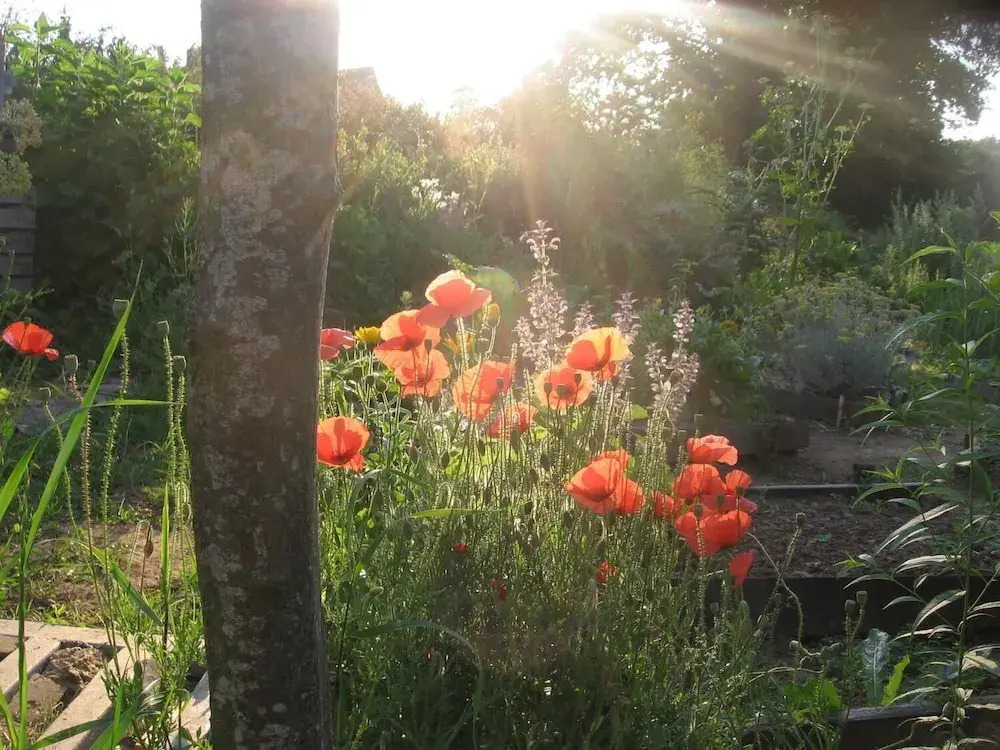 Chambres Aux Bonnes Herbes