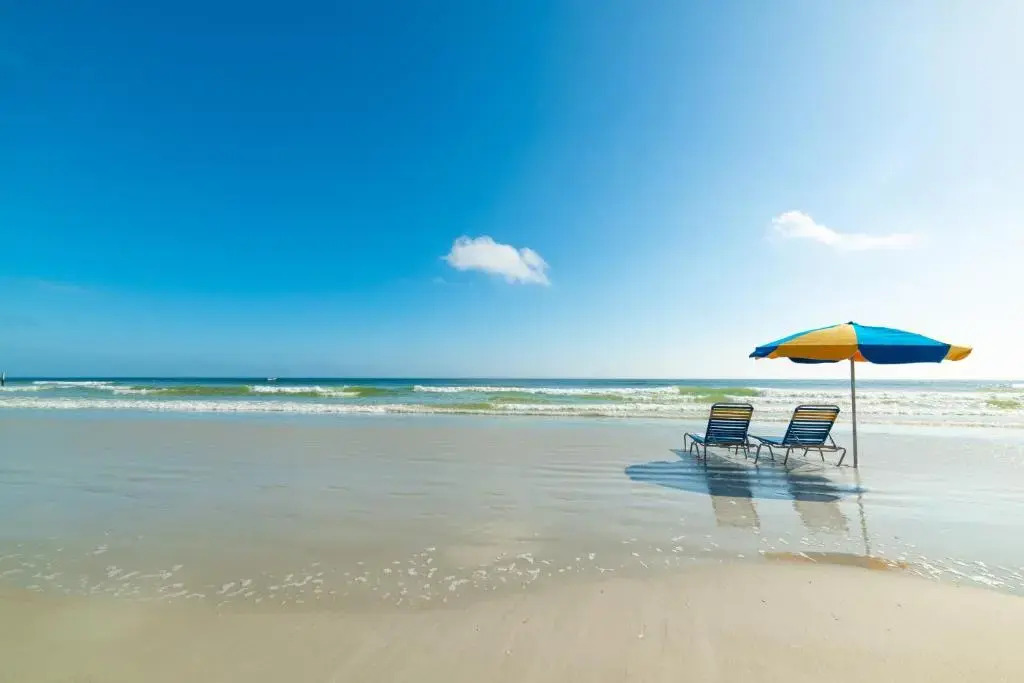 Intercoastal Dreams 101
