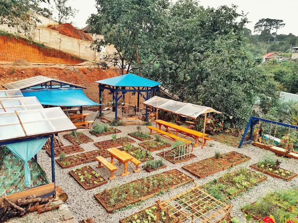 Degree 29 Hostel