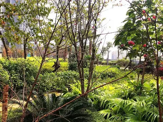 Xingxing Apartment