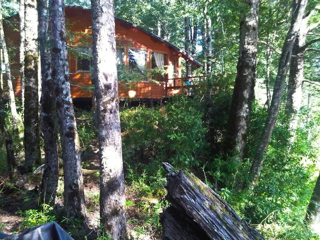 Patagonia Mawida