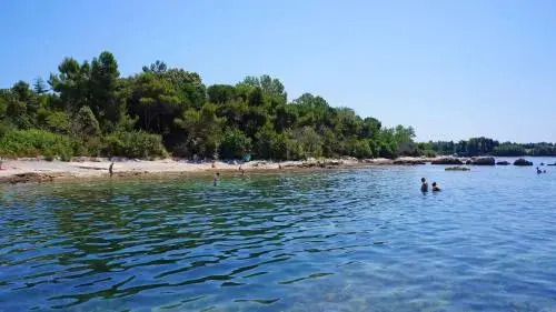 SunFlower Camping Savudrija