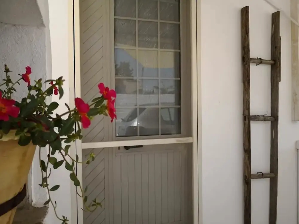 Pazze's House