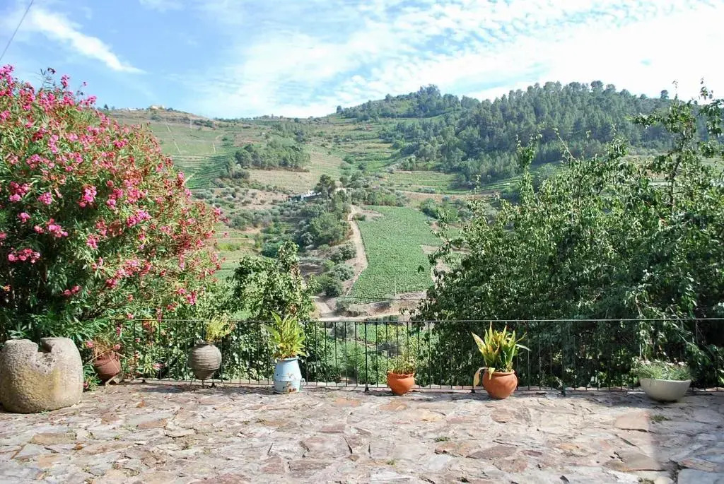 Casa de Mendiz