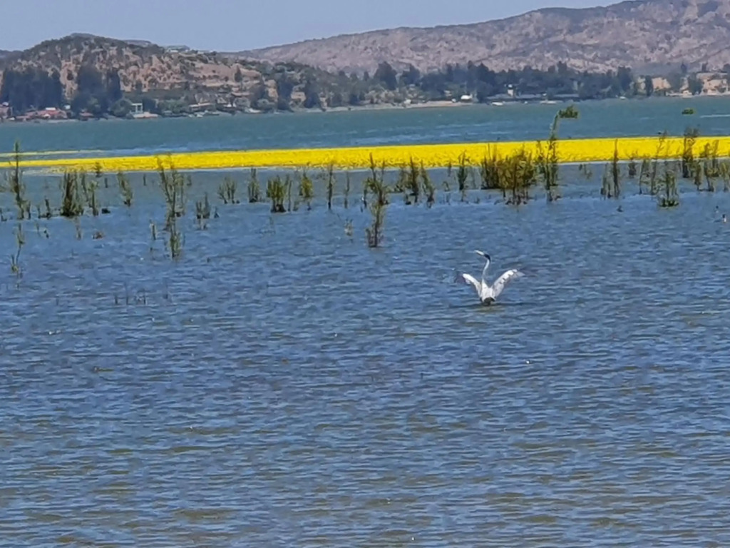 Parcela de 3 hectáreas con orilla de Lago