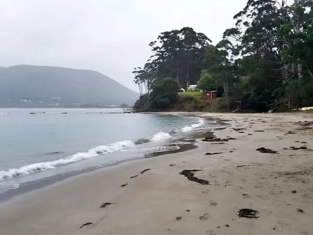 Eaglehawk Rainforest Retreat