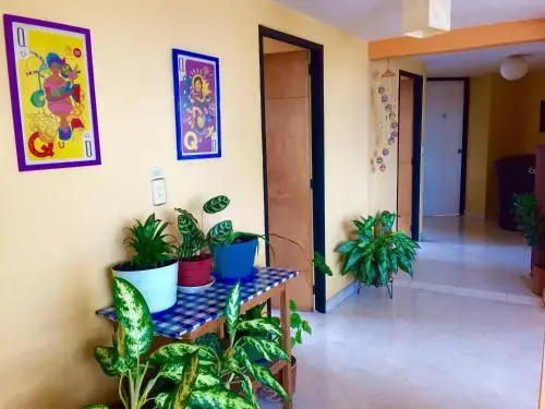 Hostel Trail