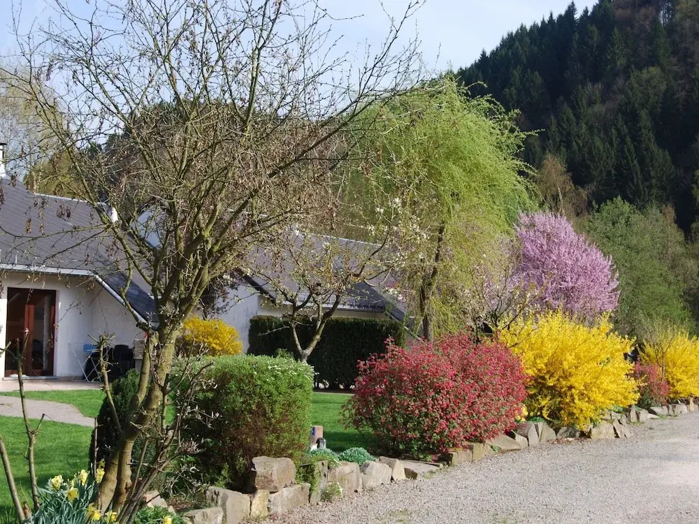 Tidy Holiday Home With Fire Place Close to Malmédy