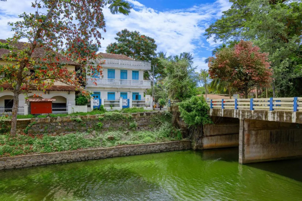 goSTOPS Lite Alleppey