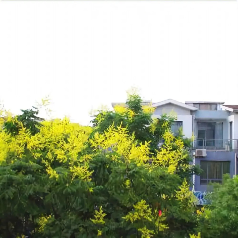 Shanghai Gangwan International Youth Hostel