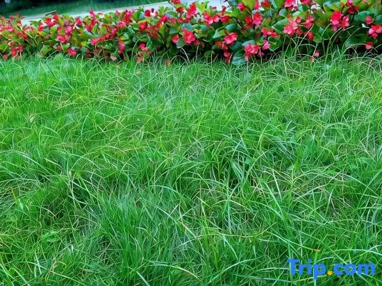 tian jia Apartment