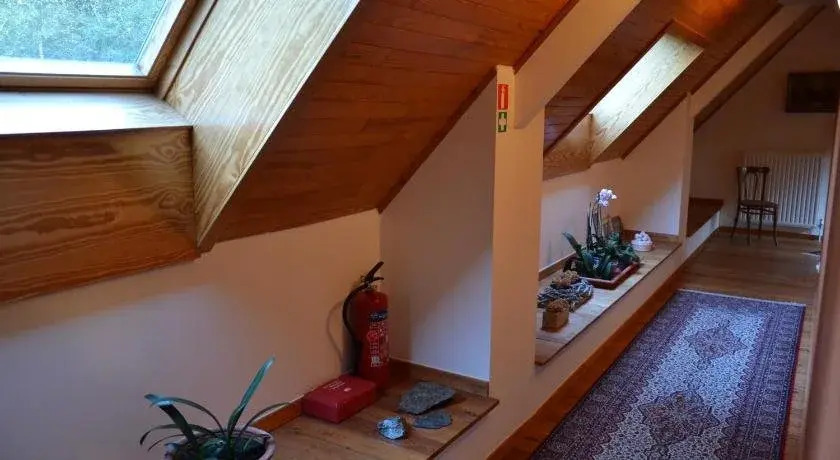 B&B Wepa-hof