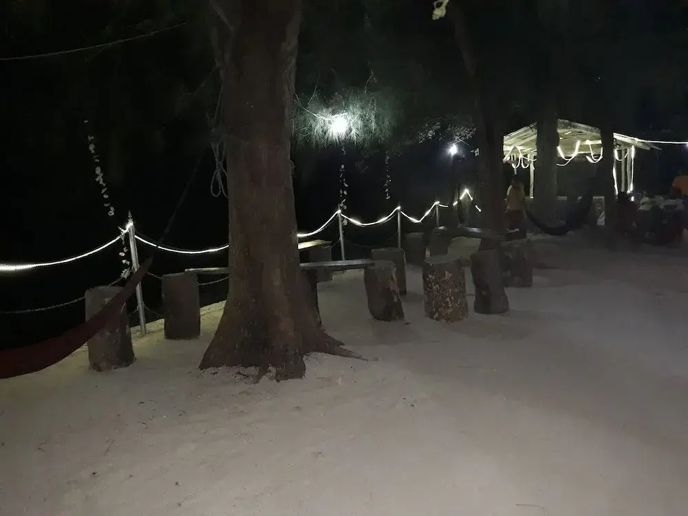 Moonlit Sands