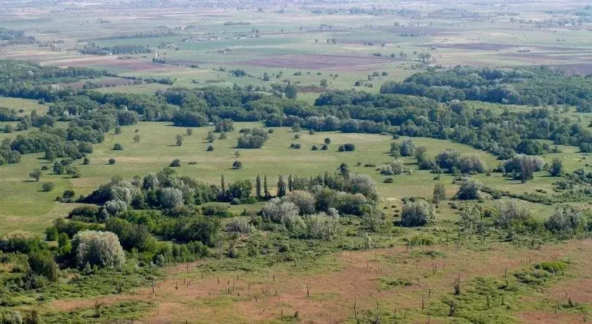 El Bronco Western Ranch