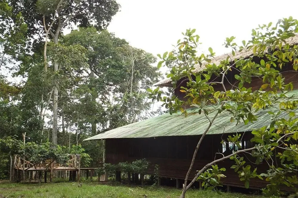Amazon Lake Lodge