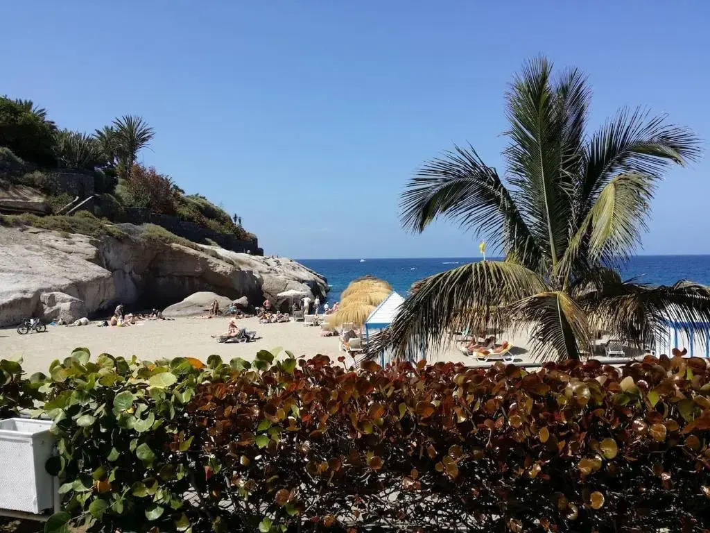 Playa del Duque in 1st sea line directly on the beach, heated pool, Wifi, balcony