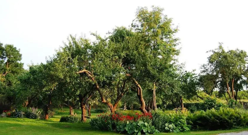 Pakalnė