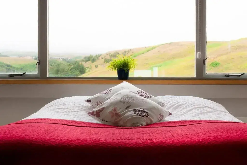 Hotel Mikligardur