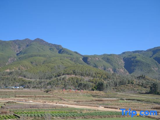 Lijiang Jinglin Hanshe Homestay (Sanyi International Airport)