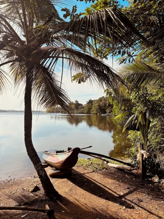 Jungle Breeze