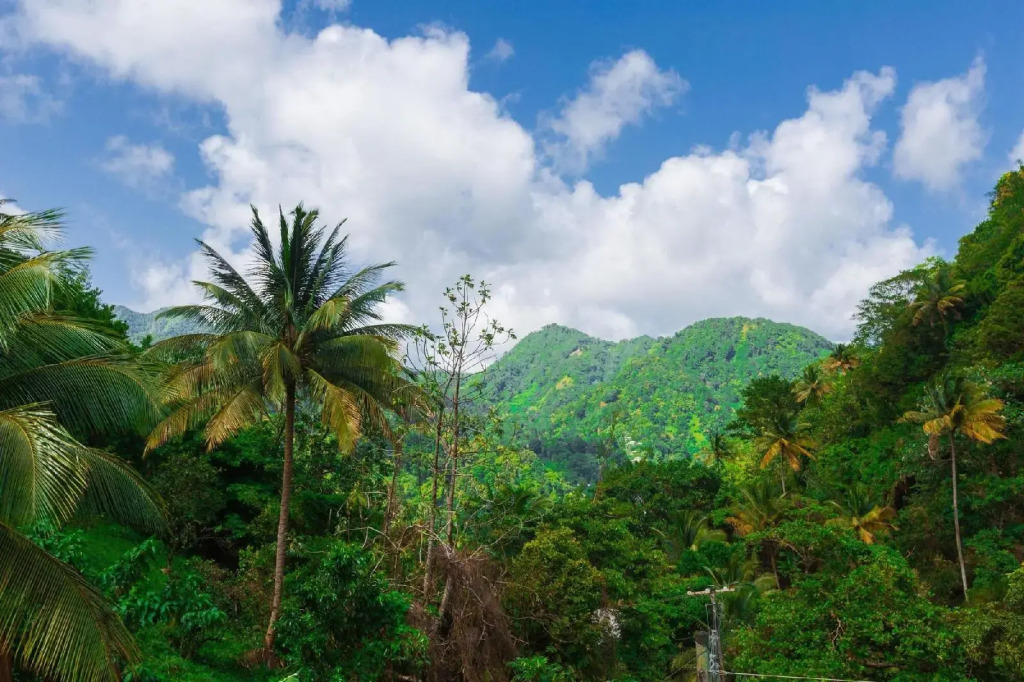 Serenity Escape St Lucia