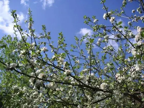 Natur-Aktiv-Hof Thiem