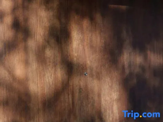 Workation Resort the Forest