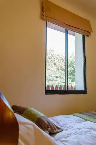 Hostal Patio Europeo