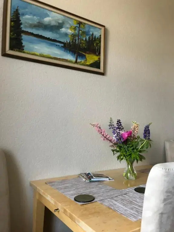 Ezera street apartment 9