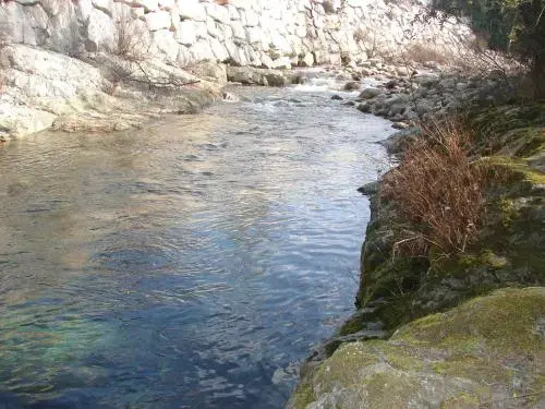 lOgliastru