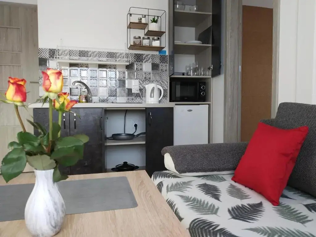 City Center Apartments - Apartamenty nad rzeką Nettą - Kilińskiego 22