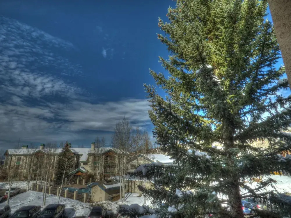 Lift Tickets Ski-in-out Mnt Side Wifi, Fireplace, Clubhousewinter Shuttle