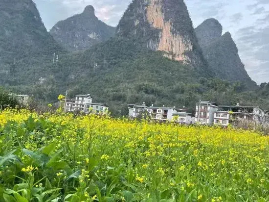 Ala Homestay (Yulonghe Branch)