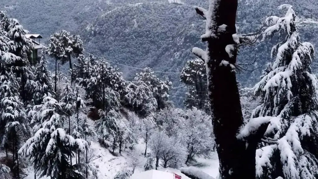 Village View Homestay Shimla