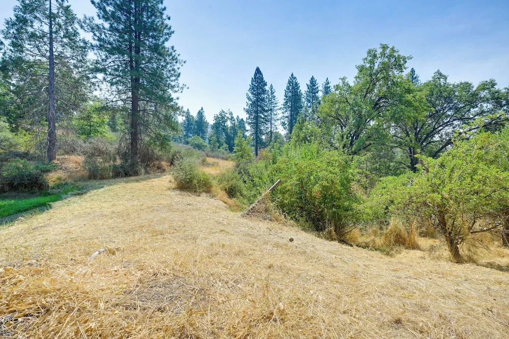 Rustic Cabin w/ Patio: 8 Mi to Kings Canyon Park