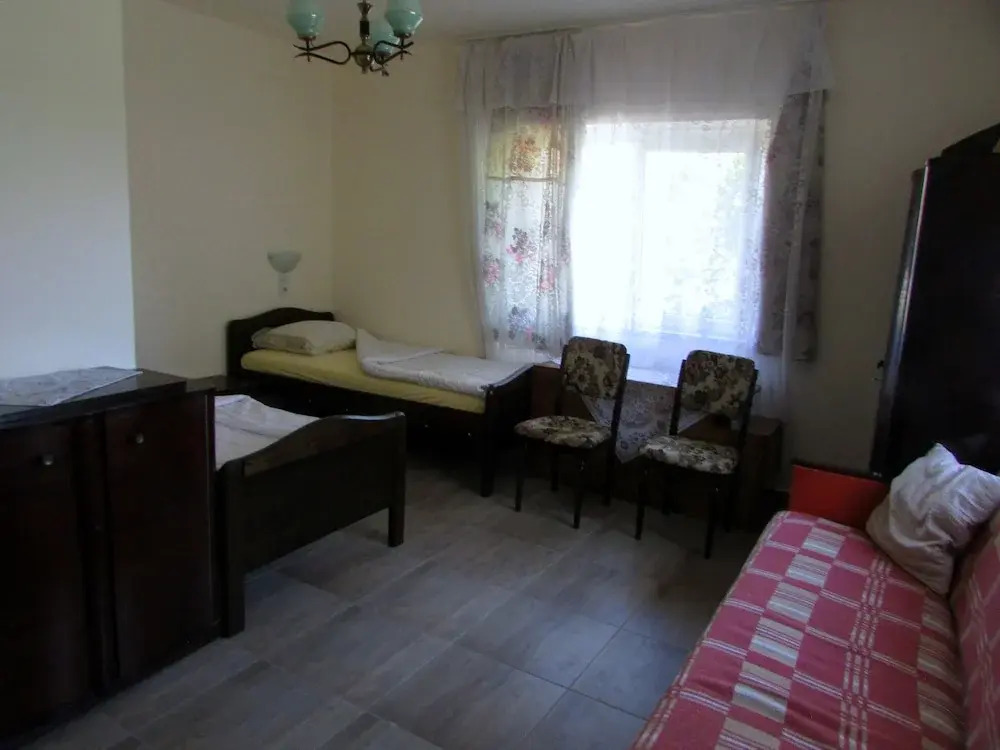 BIO Pension - BIO Panzio - Pensiunea BIO