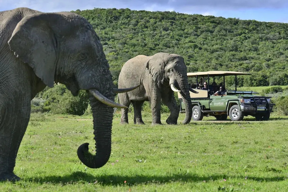 Shamwari Sarili Lodge