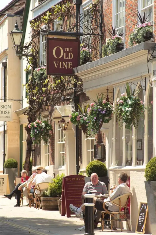 The Old Vine