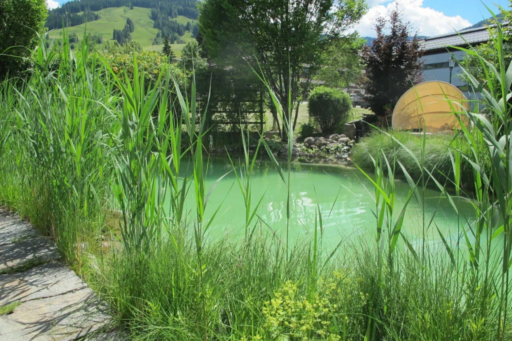 Hotel Der Löwe Leogang