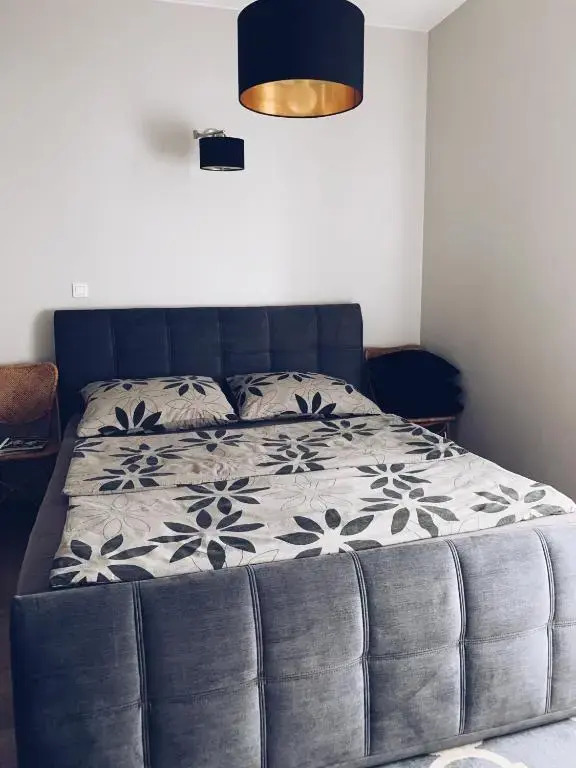 Luxury Apartment