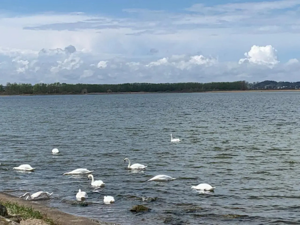 Pokoje Gościnne Wiola
