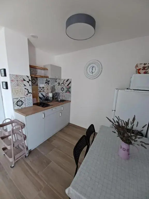 Apartments Sava