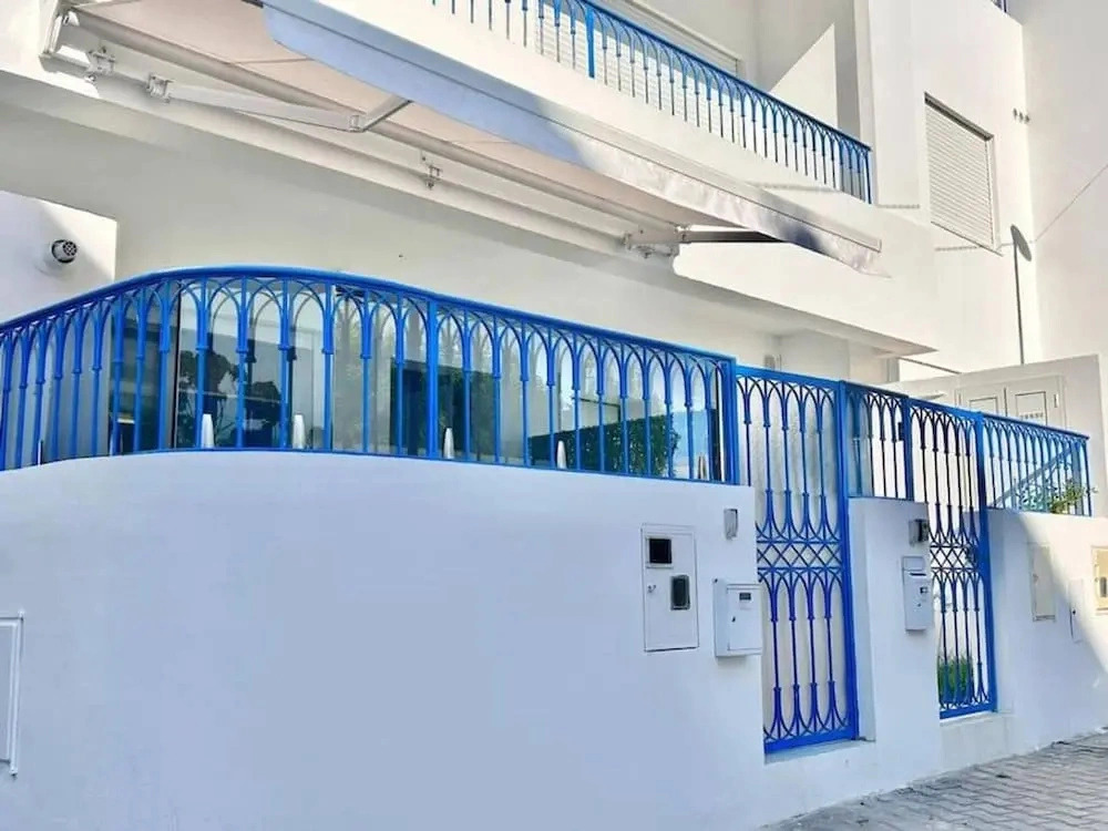 Hirondelle de Sidi Bou Saïd-appartement Terrasse
