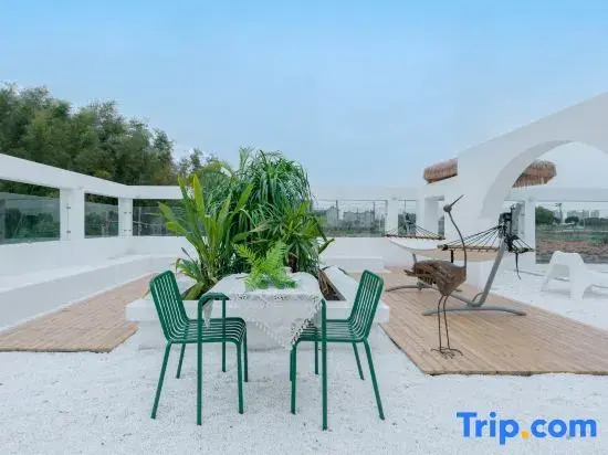 Xiazhi.dishini homeparty qingshe dujia meishu
